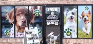 featured-window-signs window signs header